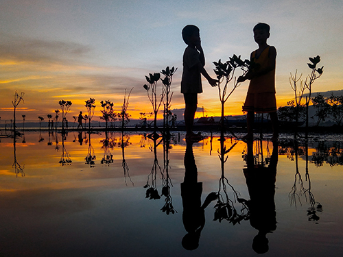 Mangrove Propagators: “The sun sets on a stretch of coastline after a mangrove restoration and beach clean took place within the local community.” Photograph by MAP photography contest Winner Mark Kevin Badayos of the Philippines